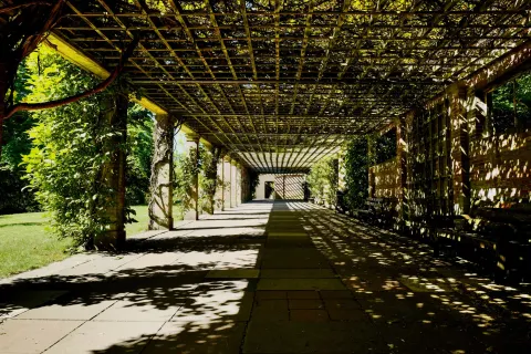 A tranquil sunlit pergola casts intricate shadows over a peaceful garden path.